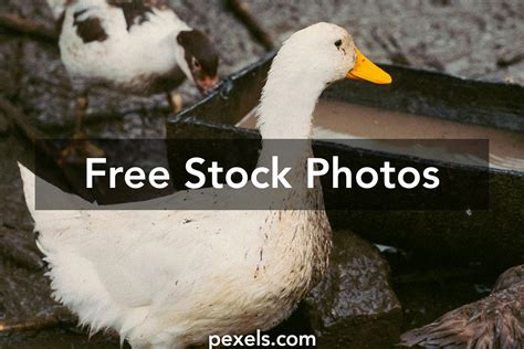 Tablazat Bemutatasa Seven Soil Photos, Download The BEST Free Tablazat ...