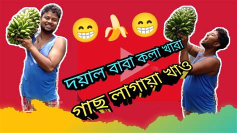 দয়াল বাবা কলা খাবা তবে চলে এসো😁পেঁপে গাছে কলম দিলাম 🥀পান্তা ভাত খেতে