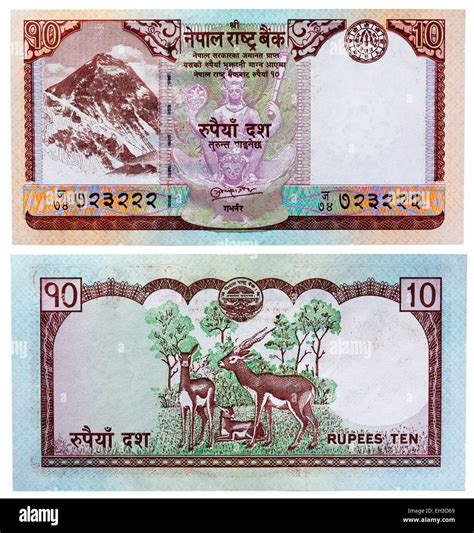 10 rupees banknote, Mount Everest and antelopes, Nepal, 2008 Stock Photo - Alamy