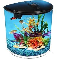 Top 6 Half Moon Aquarium (Fish Tank) Of Many Sizes Reviews