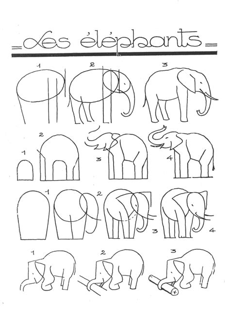 Dessiner Des éléphants Instructions étape Par étape Jeux De Réflexion