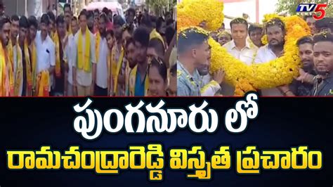 TDP MLA Challa Ramachandra Reddy Election Campaign In Punganur