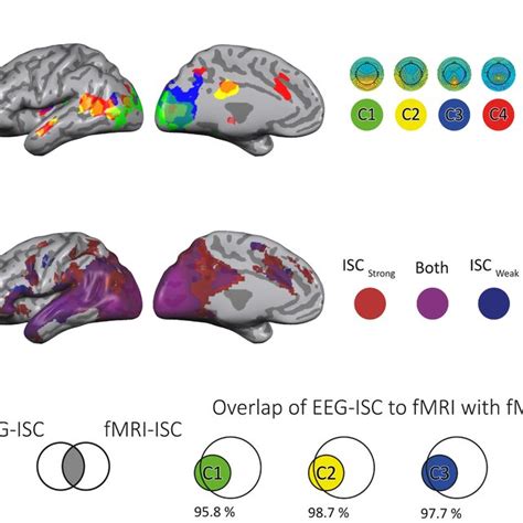 Conceptual Overview Of The Eeg Isc Informed Fmri Analysis Brain