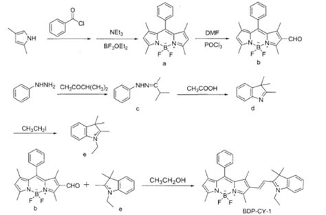 BODIPY FL C16 齐岳生物品牌齐岳生物西安 盖德化工网