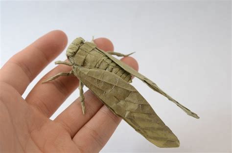 Cicada In Origami Insects Cicada Origami