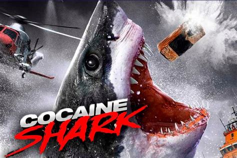 The Most Jaw-Dropping Trailer Of The Year: The Cocaine Shark Movie Is ...