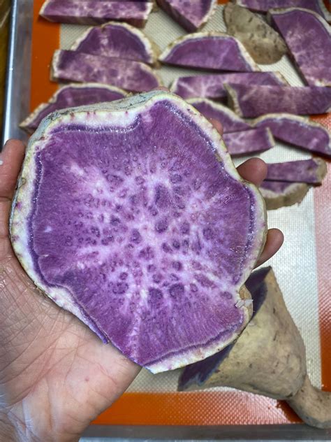 Hawaiian Purple Sweet Potato 💜 ready to harvest – Miami Fruit