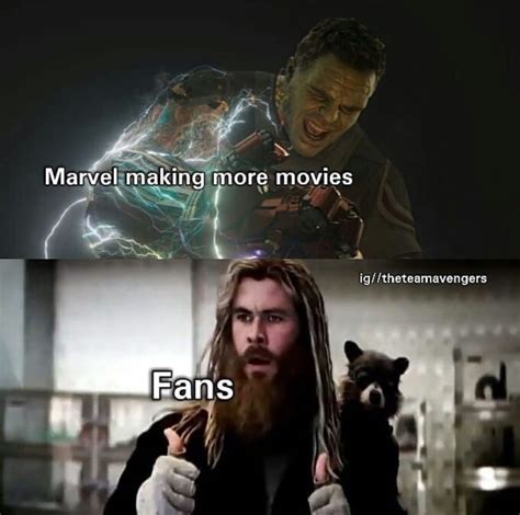 30 Fresh Avengers Memes Thatll Scratch Your Mcu Itch Avengers Memes