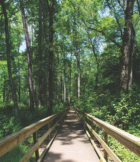 The Business of Tourism in Coastal Virginia | CoVaBiz Magazine