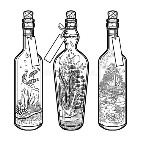 Flora Y Fauna Del Oc Ano En Botellas Ilustraci N Del Vector