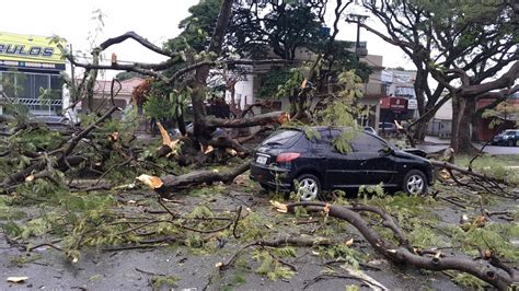 Rvore Cai Em Cima De Ve Culo Na Avenida Laguna Em Maring Ric Mais