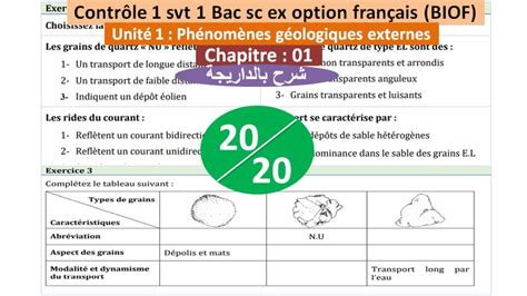 Contrôle 1 Svt 1bac Sc Ex Biof تصحيح الفرض بالداريجة Youtube