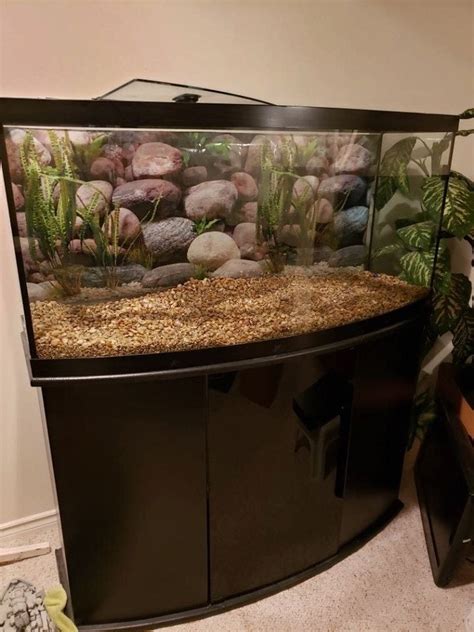 Bowfront Aquarium 75 Gallon British Columbia Aquarium Forums