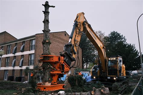 Photos Espace Vert Professionnel Bois Environnement Services