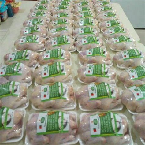 Jual Ayam Probiotik Utuh And Potong 8 Bagian Probiotic Chicken Ayam