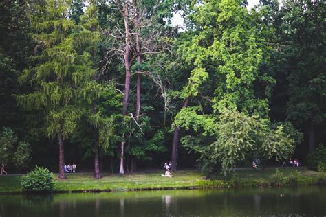 Free Images Tree Nature Forest Grass People Lawn Leaf Flower