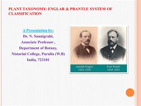 Engler And Prantl System Of Classification In Plant Taxonomy PPT