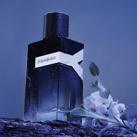 The 15 Best Long Lasting Perfumes for Men in 2025 | OPUMO Magazine ...