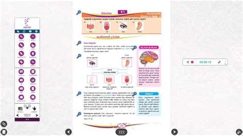 ORTAOKUL 6 SINIF FEN BİLİMLERİ DUYU ORGANLARI YouTube