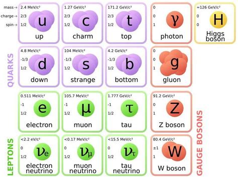 Are Bosons Made Of Quarks - Dwain Austin Hochzeitstorte