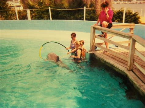 My First Time With A Dolphin Sometime In April 2000 Or 2001 At Marine