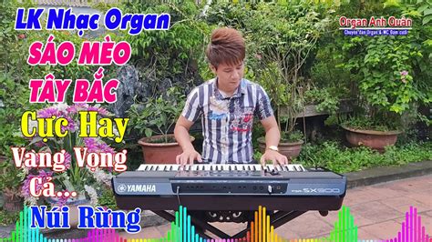 Liên Khúc Nhạc Organ Cha Cha Cha Không Lời Sáo Mèo Tây Bắc Cực Hay