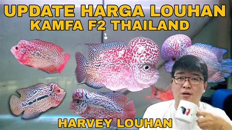 Update HARGA LOUHAN KAMFA THAILAND Terbaru Setelah Lebaran Di Harvey