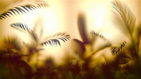 Premium Photo Blurred Tropic Leaves Behind Frosted Glass