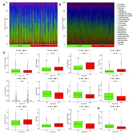 Immune Cell Infiltration In High And Low Risk Groups Ab