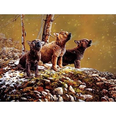 Xxl Teile Nature S Song Teile Sunsout Puzzle Online Kaufen