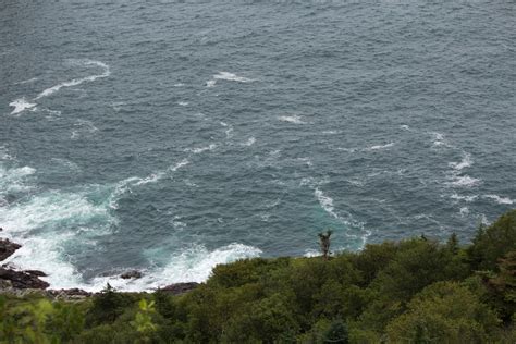 Frente al mar Filmes poéticos Poesía Sonora Poemas experimentales