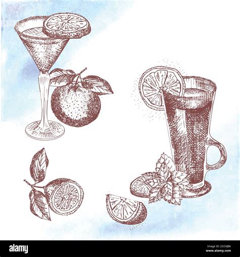 Cocktail Alcolico Bevanda Disegnata A Mano Disegno Schizzo Arte Su