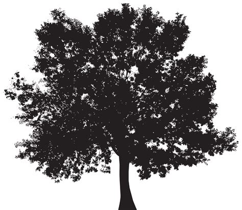 Onlinelabels Clip Art Detailed Large Oak Tree Silhouette Images And