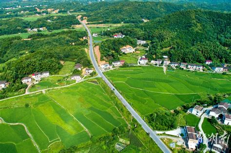 枫林镇：“枫”情万种的文旅特色小镇 美丽乡村 新湖南