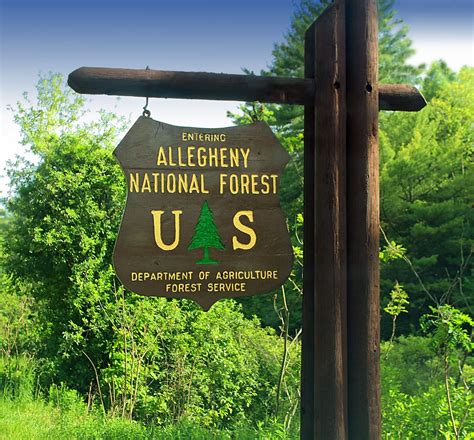 Hanging Sign Allegheny National Forest Entrance Sign Warr Flickr