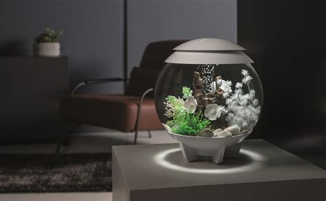 Amazon Co Jp Biorb Aquarium Set Halo Gal L Multi