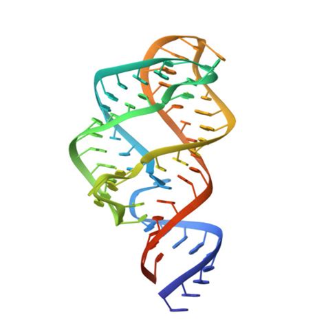 RCSB PDB 5E54 Two Apo Structures Of The Adenine Riboswitch Aptamer