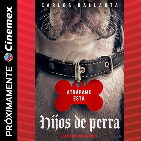 Cinemex On Twitter Reggie Es Un Perro Muy Optimista Que Recibir Un