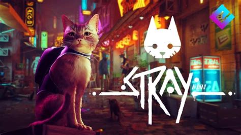 Stray Confira Os Requisitos Mínimos E Recomendados Br