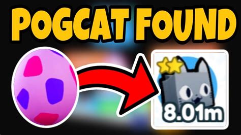 New How To Get Pogcat Pet Simulator X Youtube