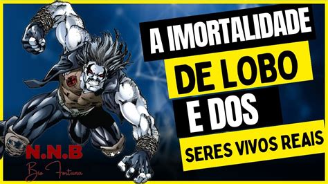 LOBO O Maioral e a Imortalidade na Ciência YouTube