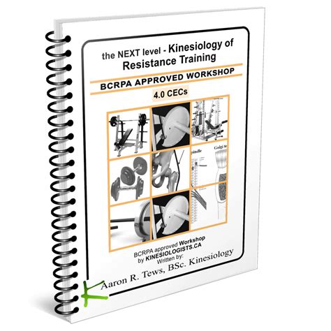 Average Salary and Career Outlook for Kinesiologists 30