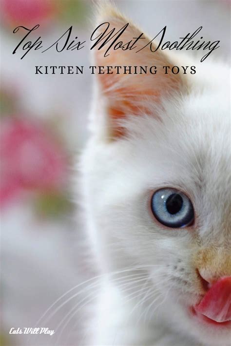 The Top Six Best Kitten Teething Toys - Cats Will Play