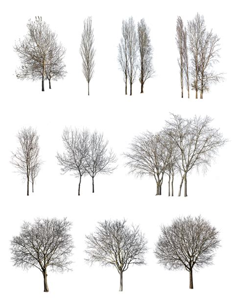 Winter Png Images Transparent Free Download