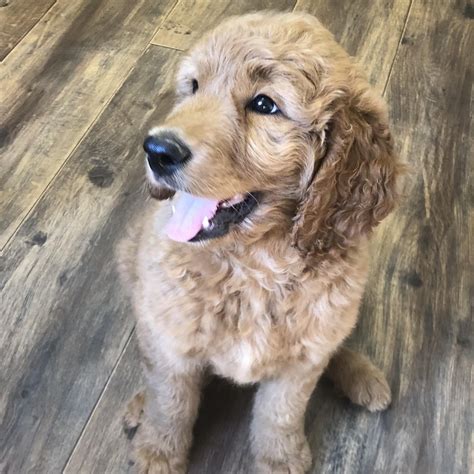 Hippie Hollow Doodles