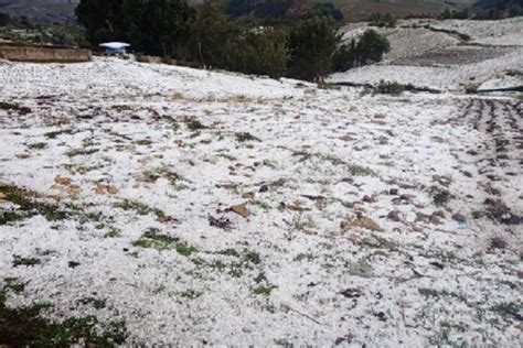 Granizada Daña Cultivos De Maíz Y Papa En Huancayo Chupaca Y Jauja