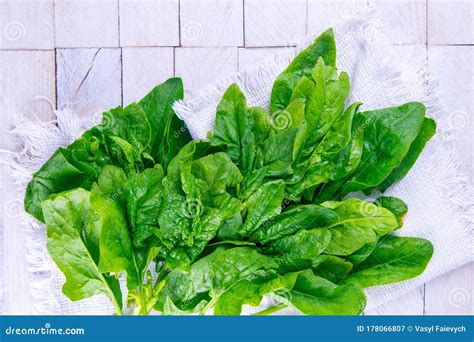 Freshly Harvested Spinach On A White Towel Stand On White Wooden Table