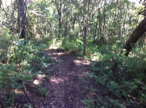 Melhores Caminhadas E Trilhas Em Parque Estadual Mata Da Pipa Alltrails