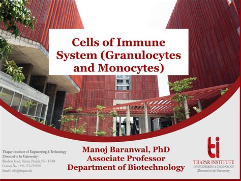 Solution Granulocytes And Monocytes Ppt Studypool