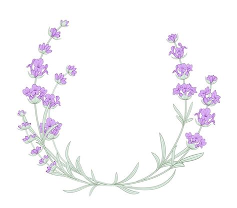 Premium Vector The Lavender Elegant Wreath